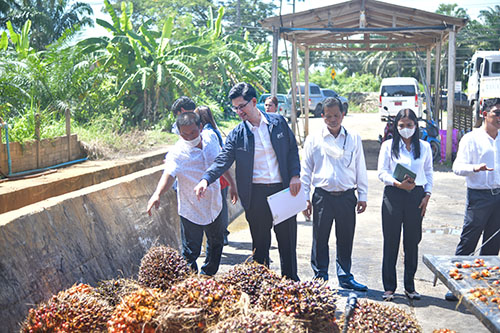 พาณิชย์ลงพื้นที่ติดตามการรับซื้อเเละตรวจเครื่องชั่งปาล์มน้ำมัน