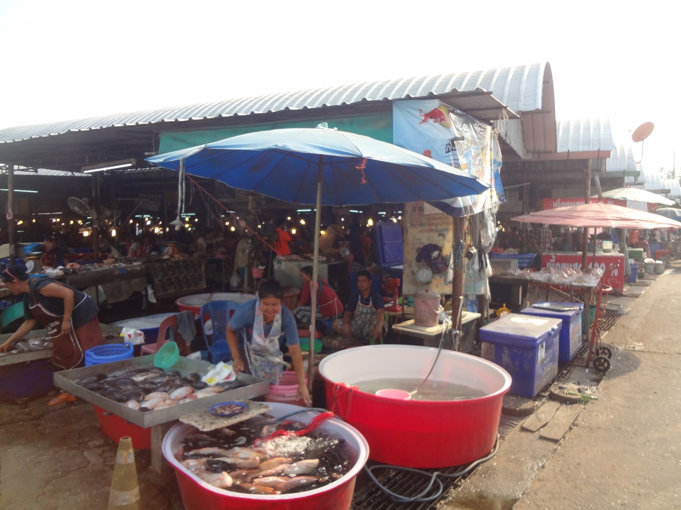 11356_บริเวณภายในตลาด.jpg