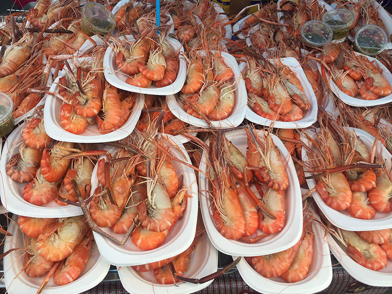 45612_ภาพกุ้ง.JPG
