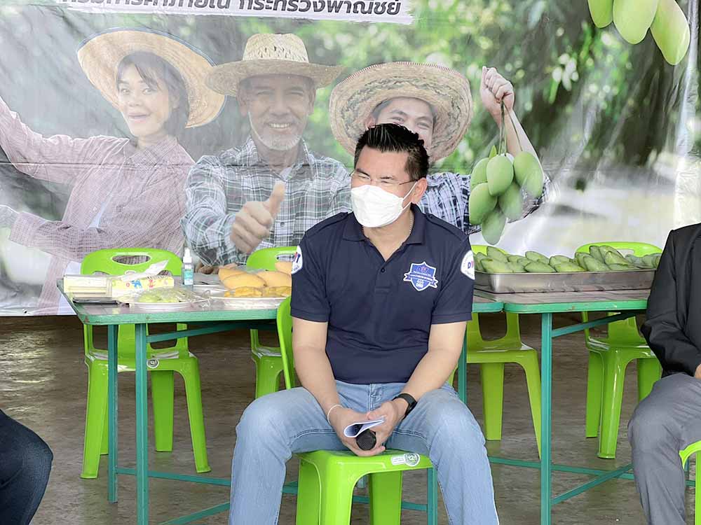 พาณิชย์ติดตามการรับซื้อมะม่วงพิจิตร