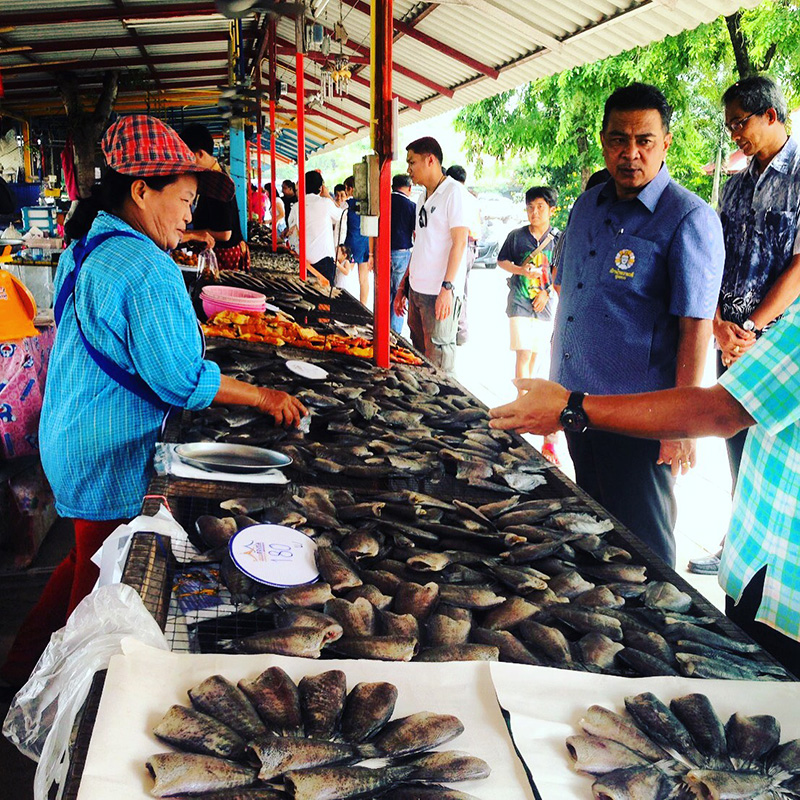 45519_ร้านขายปลา.JPEG