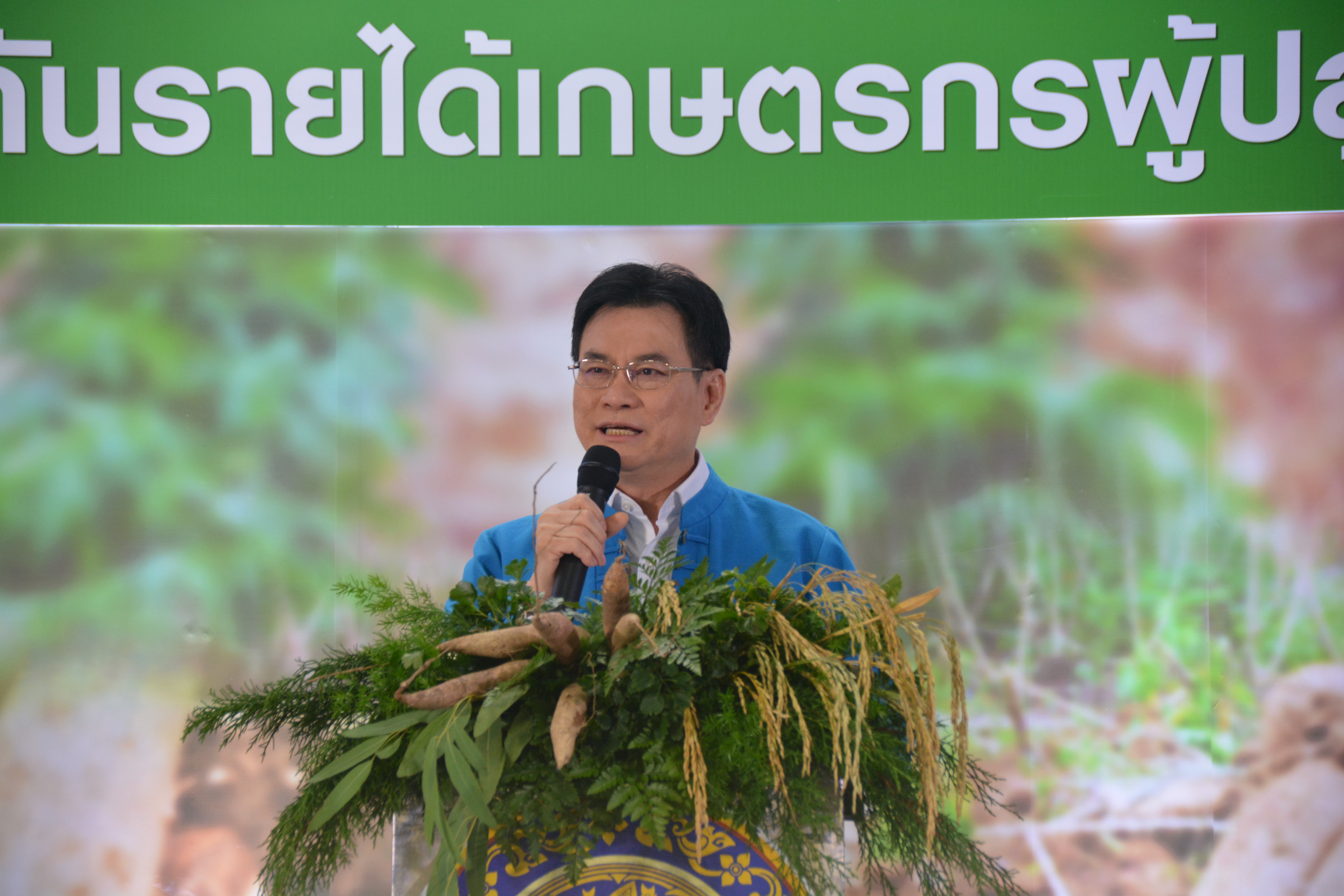 KICK OFF โครงการประกันรายได้เกษตรกรผู้ปลูกมันสำปะหลัง 