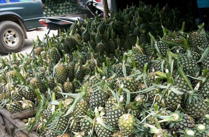 21950_สินค้า สับปะรด.jpg