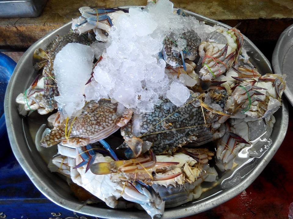 44871_แผงค้า อาหารทะเล.jpg
