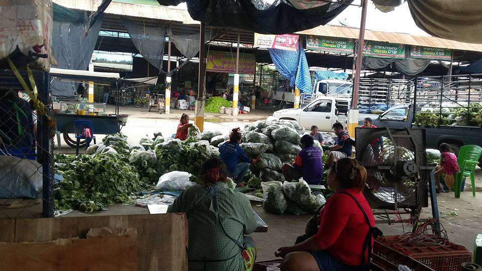 21930_สินค้าผัก 3.jpg