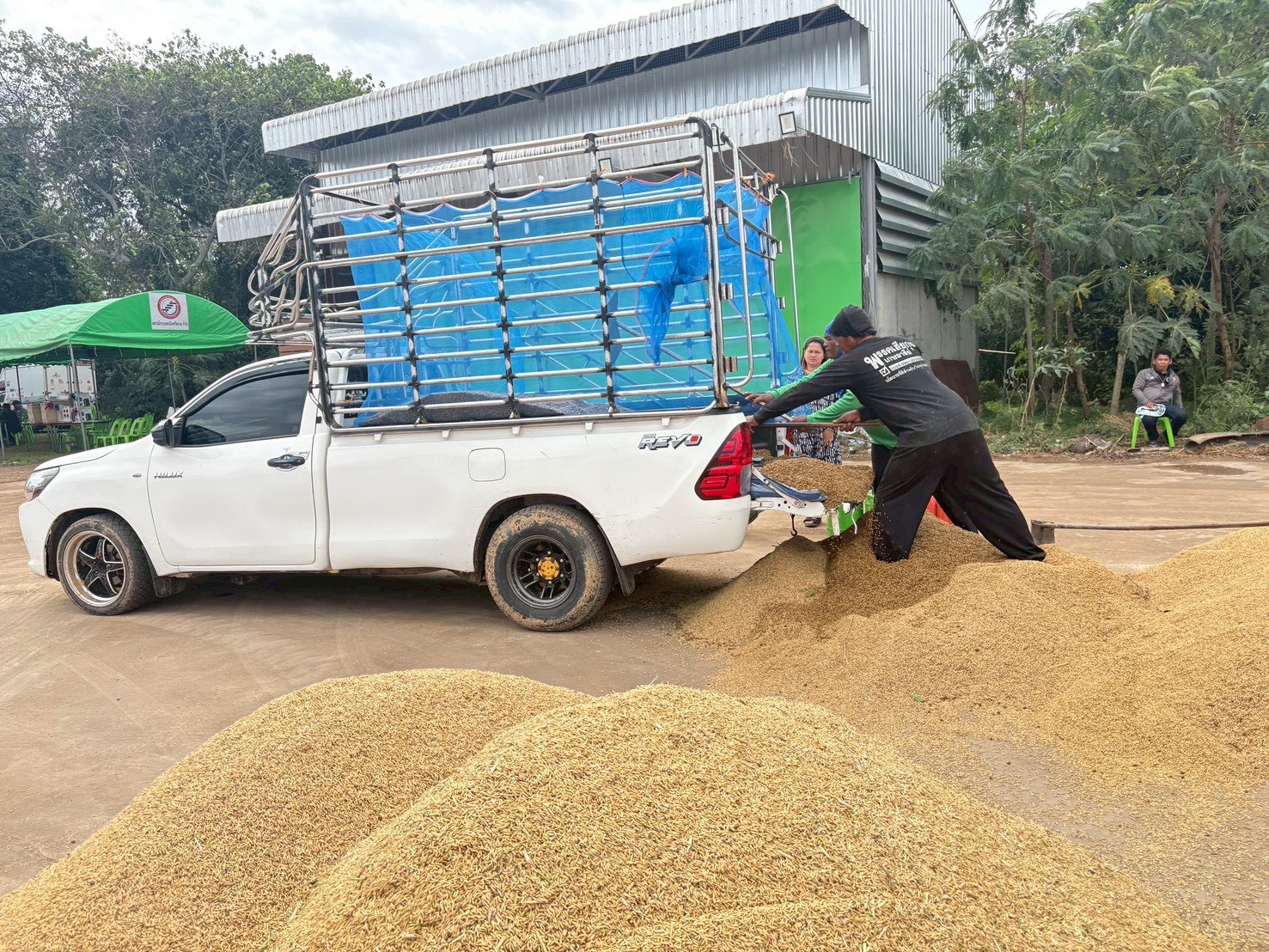 ข่าวเลขที่ 36/2569 “พาณิชย์” เผย ตลาดข้าวกลับมาคึกคัก ราคาข้าวหอมดีดแตะ 16,000 บาท/ตัน พุ่งขึ้นทันที 1,000 บาท จากมาตรการดูดซับตรงจุดของ นบข.  (21 พฤศจิกายน 2568)