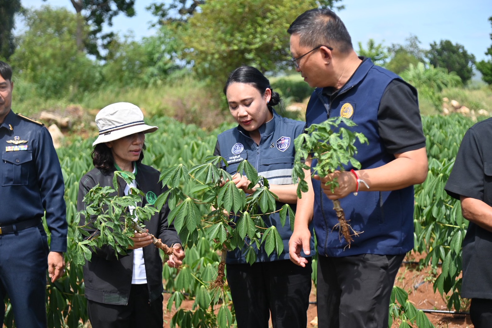 ข่าวเลขที่ 175/2569 “พาณิชย์” ติดตามแปลงมันกาญจนบุรี หนุนท่อนพันธุ์ดี 5 ล้านลำ รับมือใบด่าง เพิ่มผลผลิต-เติมวัตถุดิบอุตสาหกรรม (30 มิถุนายน 2569)