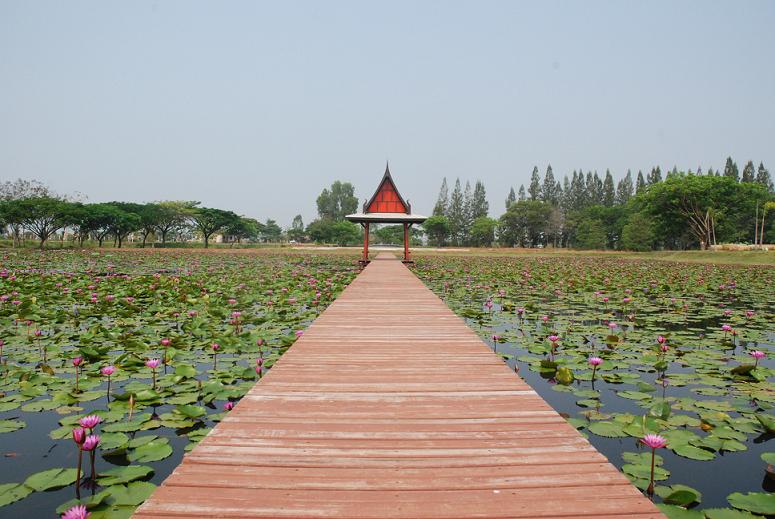 46234_อุทยานหนองหารเฉลิมพระเกียรติ.jpg