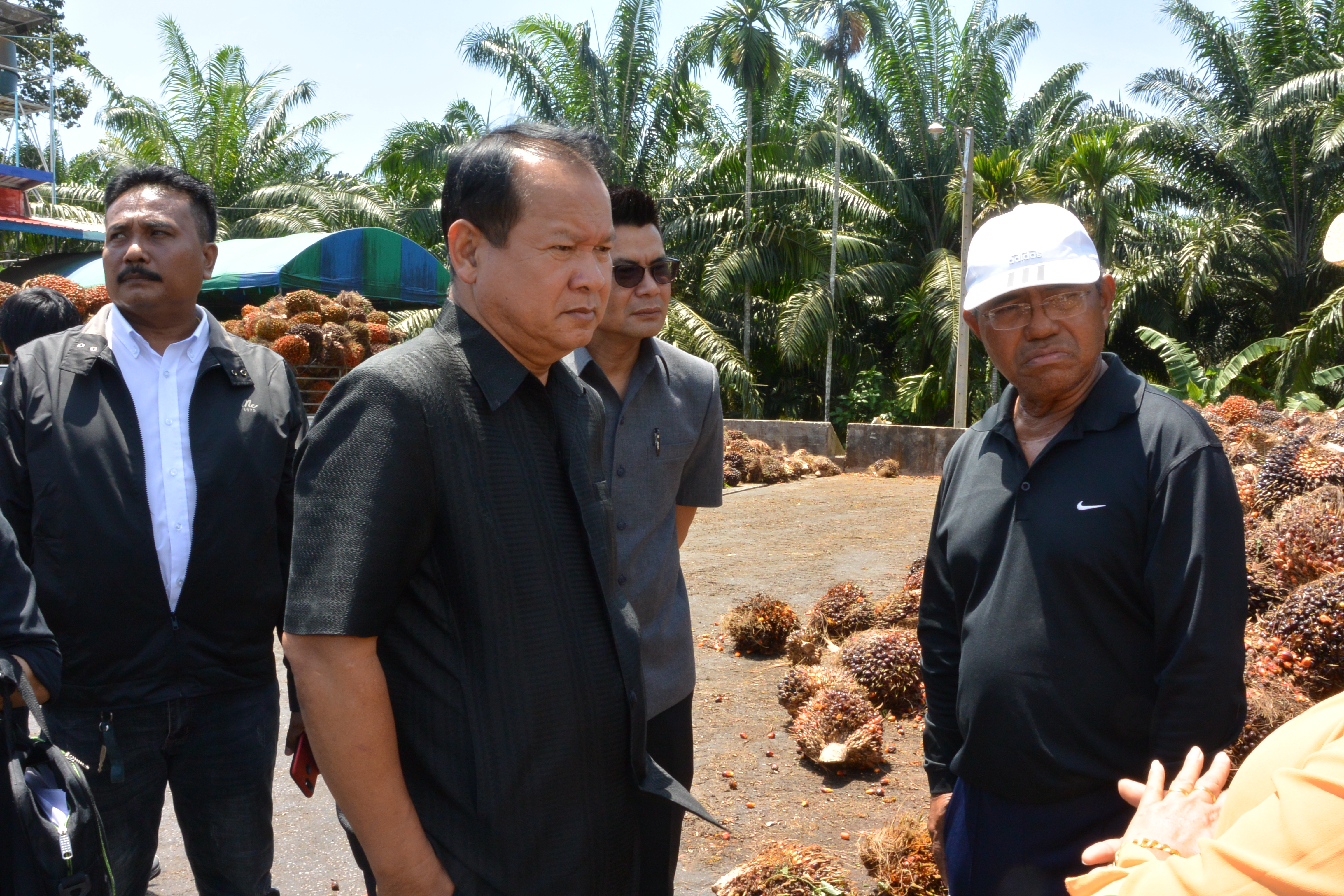 อธิบดีกรมการค้าภายใน ลงพื้นที่ติดตามสถานการณ์ปาล์ม