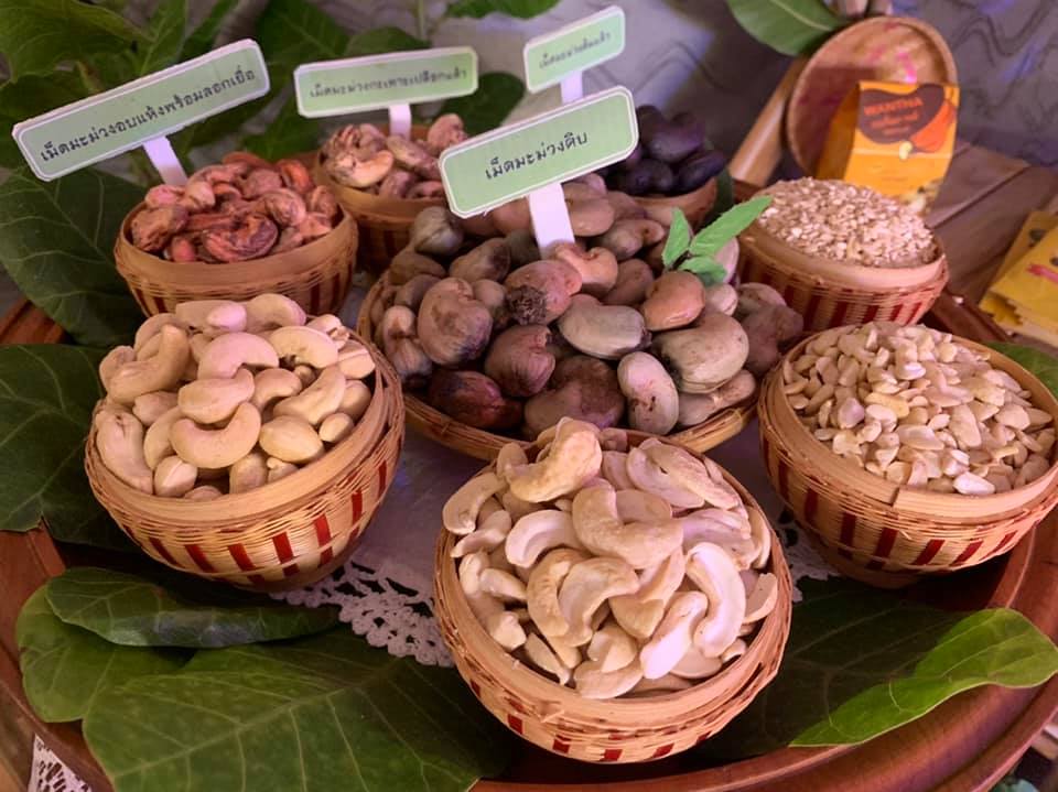 รองอธิบดีเป็นประธานในพิธีเปิดหมู่บ้านทำมาค้าขายแห่งใหม่ “วิสาหกิจชุมชนบ้านหาดไก่ต้อย”