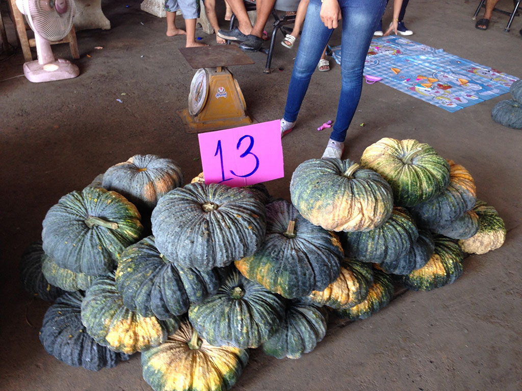 45369_ร้านขายฟักทอง.jpg