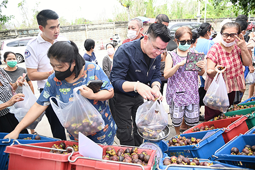 กรมการค้าภายใน ชวนซื้อมังคุดใต้ @รถโมบายพาณิชย์
