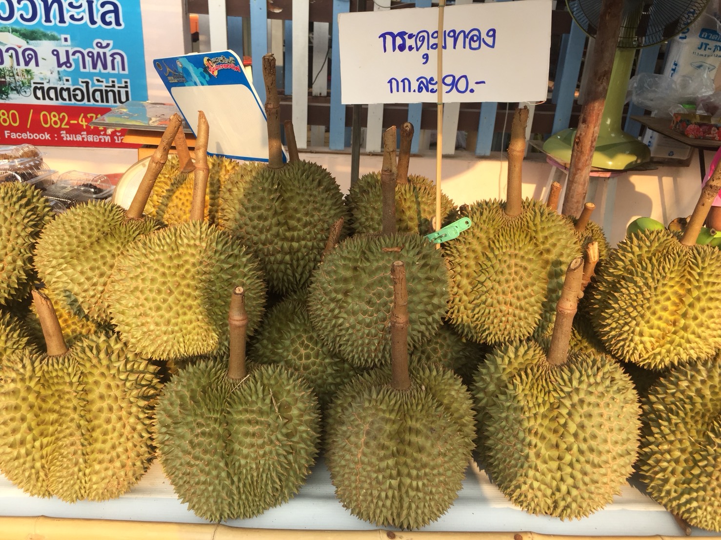 67462_ทุเรียน.jpg