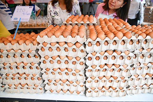 พาณิชย์เชื่อมโยงไข่ไก่ ช่วยทั้งเกษตรกรและผู้บริโภค