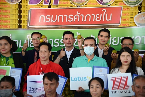 พาณิชย์ เชื่อมโยง การรับซื้อส้มเขียวหวานจากกลุ่มเกษตรกร จังหวัดสุโขทัย แพร่ น่าน