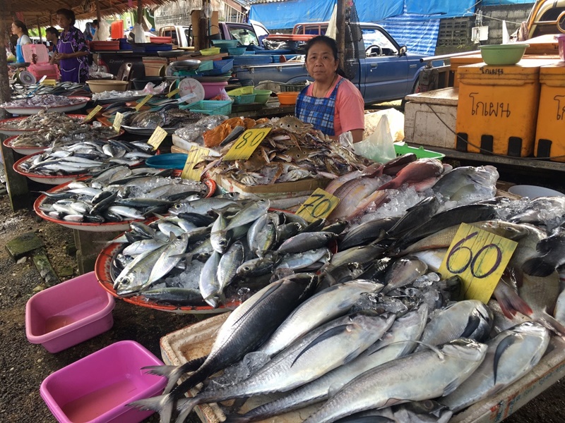 23115_อาหารทะเล.jpg