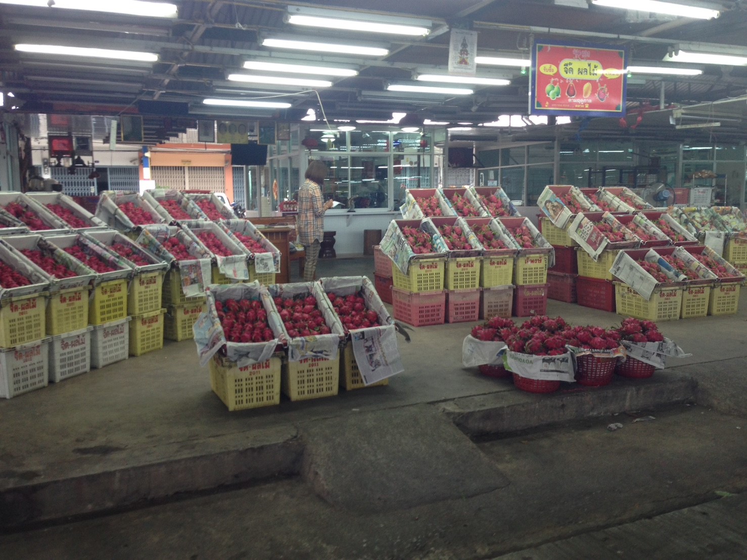 22028_แผงผลไม้.jpg