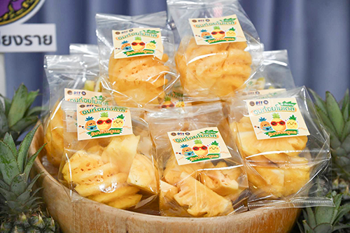 พาณิชย์นำผู้ประกอบการซื้อสับปะรดเชียงรายเป้าหมาย 16,500 ตัน