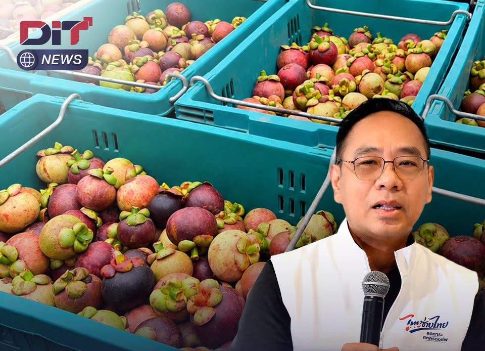 ข่าวเลขที่ 216/2569 “พาณิชย์” แก้เกมมังคุดใต้ ดึงพันธมิตรกระจายผลไม้ทั่วประเทศ เพิ่มจุดรับซื้อ–ปรับเส้นทางขนส่ง หลังน้ำท่วมบ่อเต็น–โม่หาน เร่งระบายมังคุดปลายฤดู (31 สิงหาคม 2569)