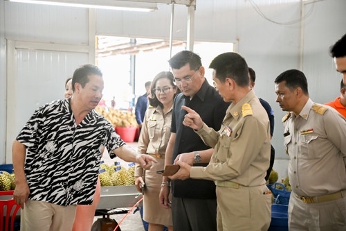พาณิชย์ติดตามสถานการณ์ทุเรียนในพื้นที่จังหวัดชุมพร