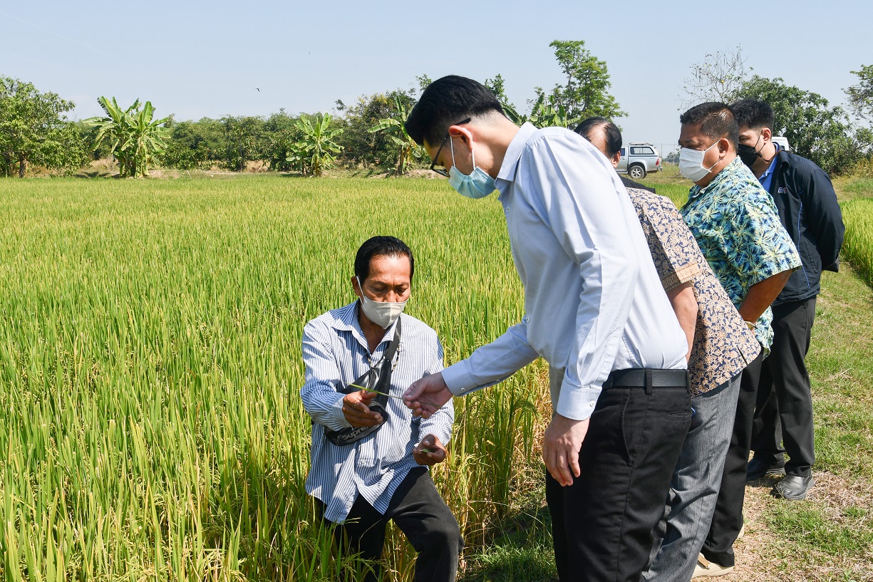 พาณิชย์ติดตามสถานการณ์ปุ๋ยเคมี ณ สหกรณ์การเกษตรคลองหลวง 