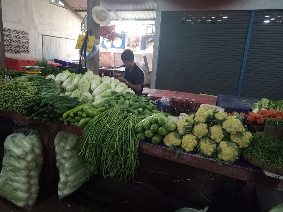 78308_แผงค้าผัก.jpg