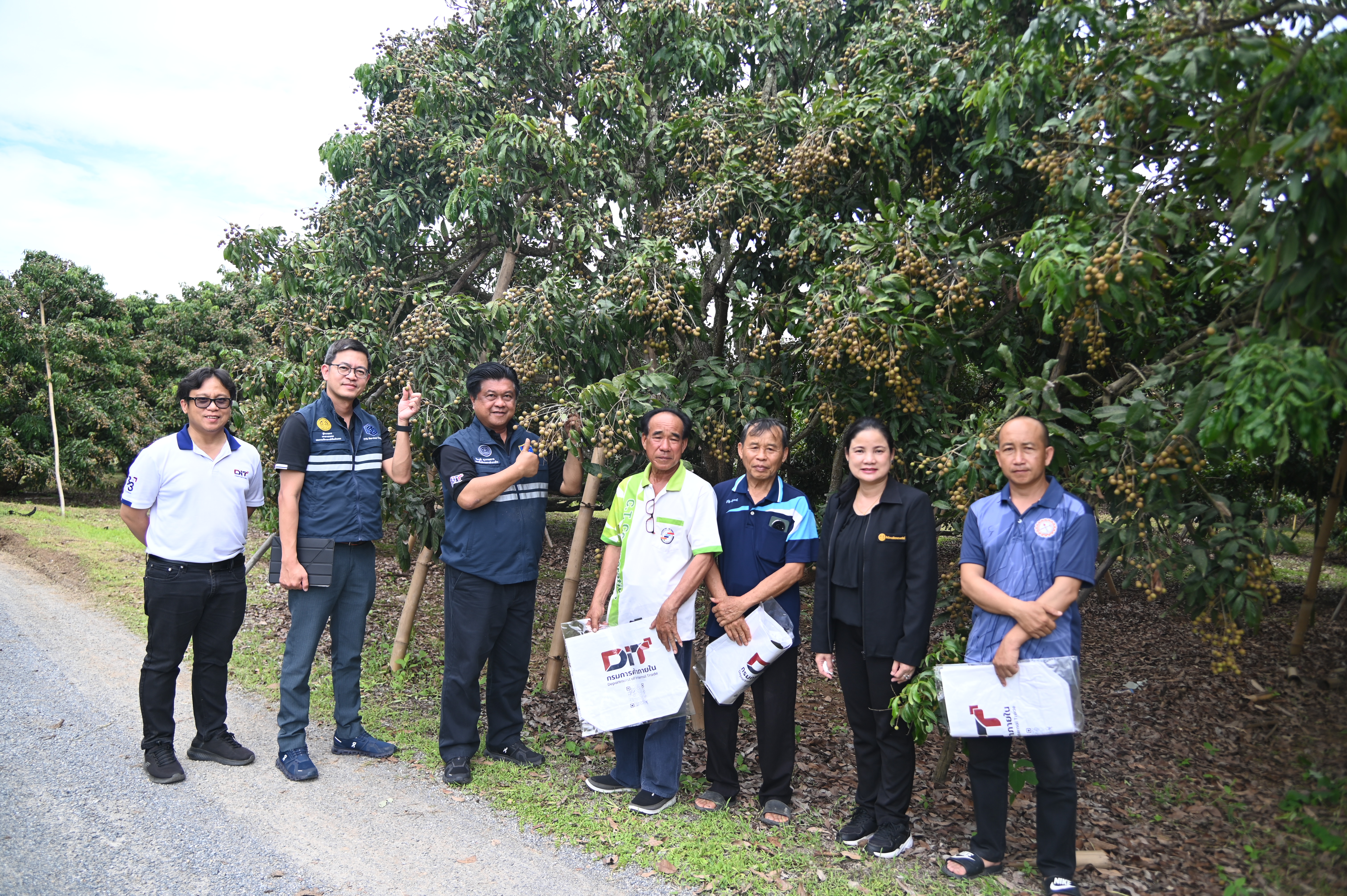 DIT ลงพื้นที่เชียงหม่ - ลำพูน  ติดตามการรับซื้อหอมหัวใหญ่  พร้อมติดตามสถานการณ์ ผลผลิตลำไยและมะม่วง