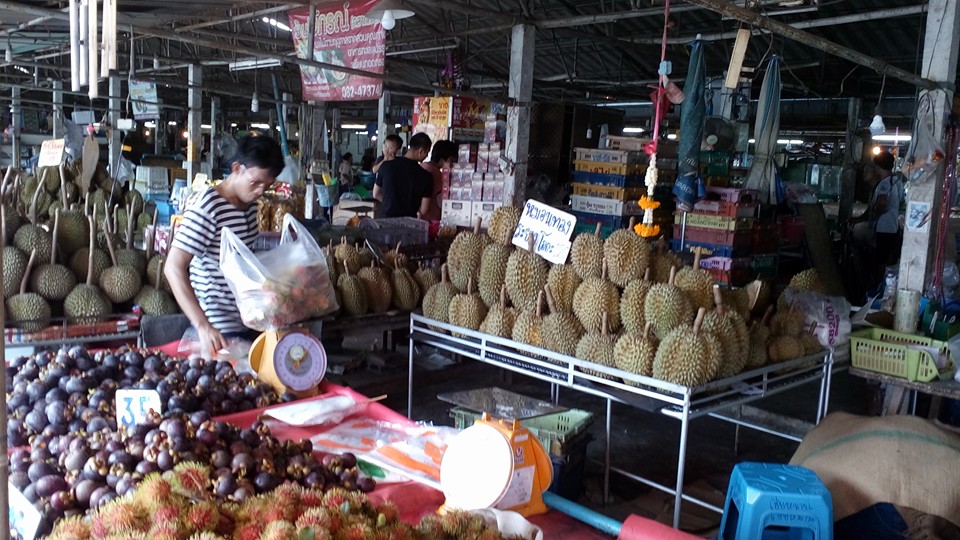 21897_แผงค้า ผลไม้ ทุเรียน.jpg