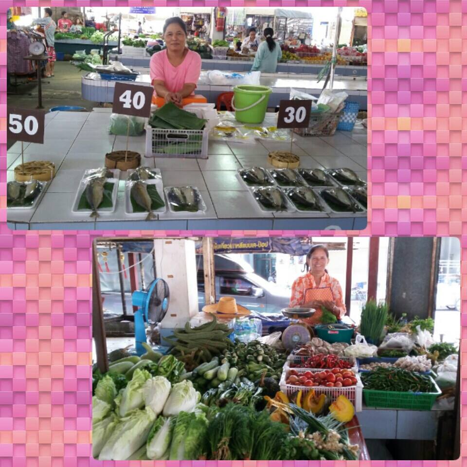 745_แผ้งค้า 3.jpg