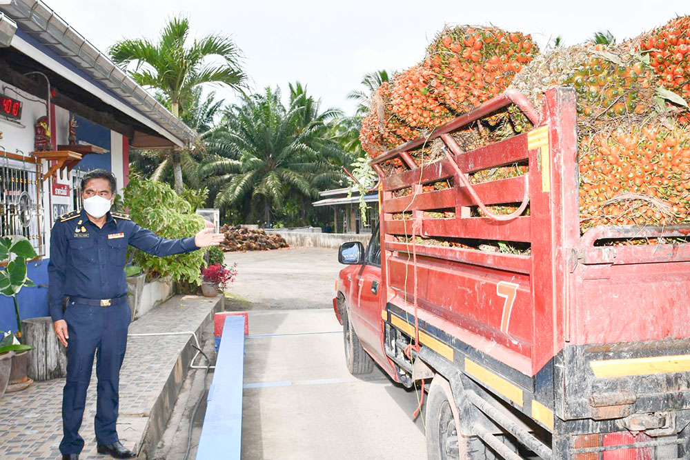 พาณิชย์ปล่อยขบวน สายตรวจสอบเครื่องชั่งรถยนต์ รับซื้อปาล์มน้ำมันในเขตพื้นที่ภาคใต้