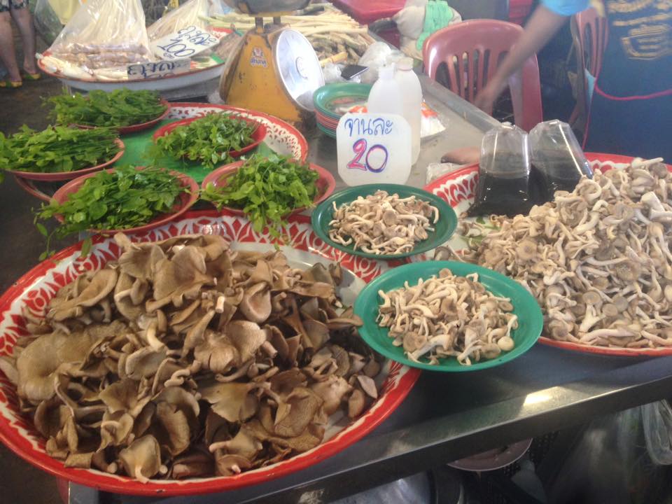 23609_แผงค้า เห็ด.jpg