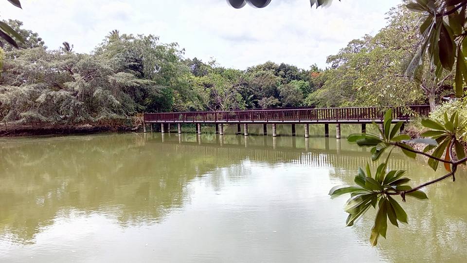11415_บริเวณโดยรอบ 3.jpg
