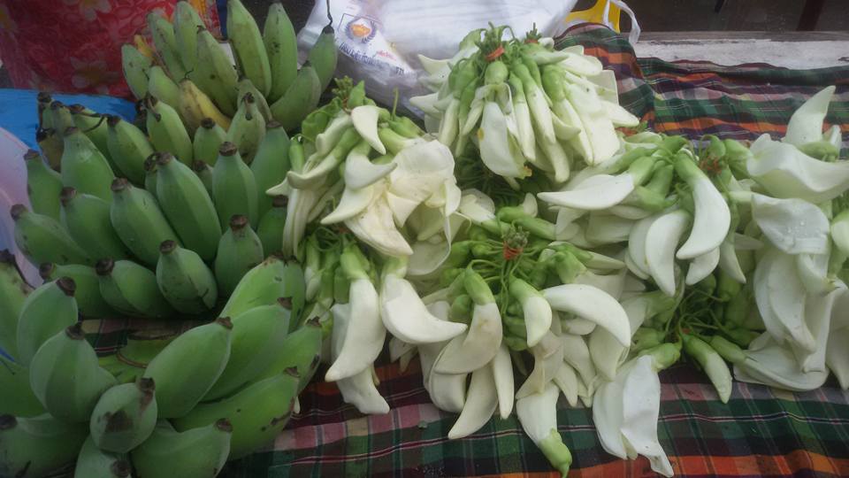 33529_แผงค้า ผักพื้นบ้าน่.jpg