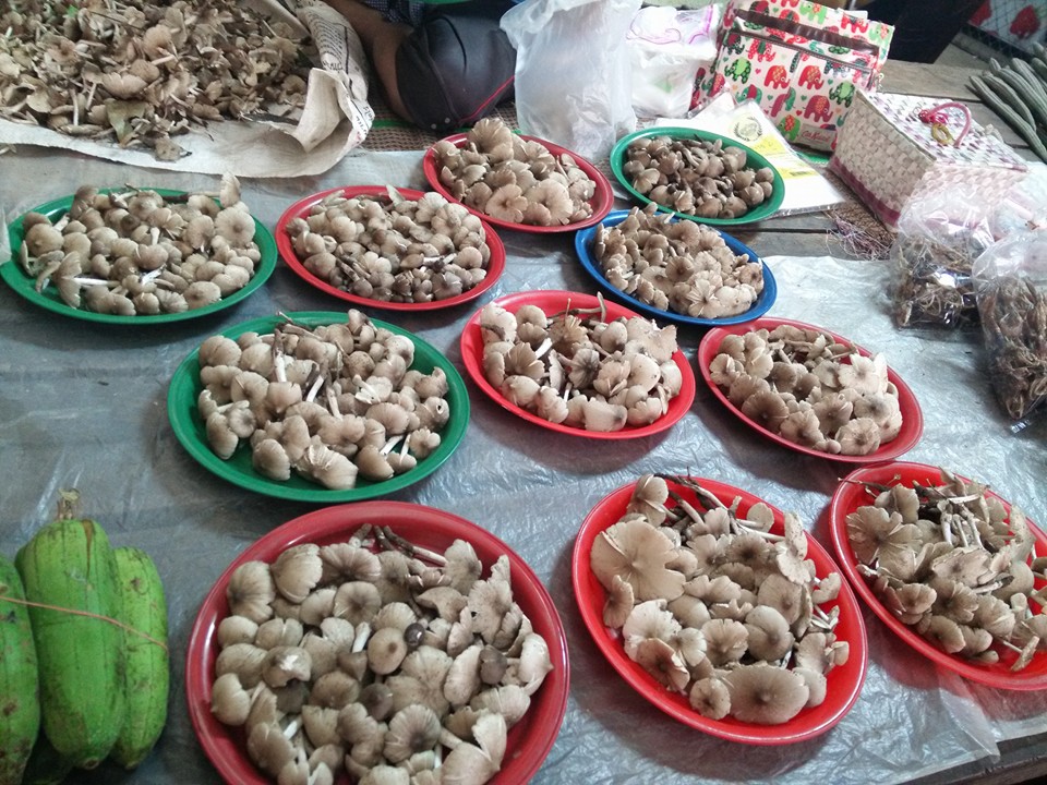 44257_แผงค้า อาหารสด.jpg