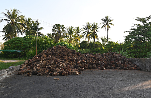 “พาณิชย์ลุยใต้”  ติดตามสถานการณ์ปาล์ม พร้อมตรวจเยี่ยมแหล่งสกัดน้ำมันปาล์มดิบและลานเทรับซื้อทะลายปาล์มน้ำมัน