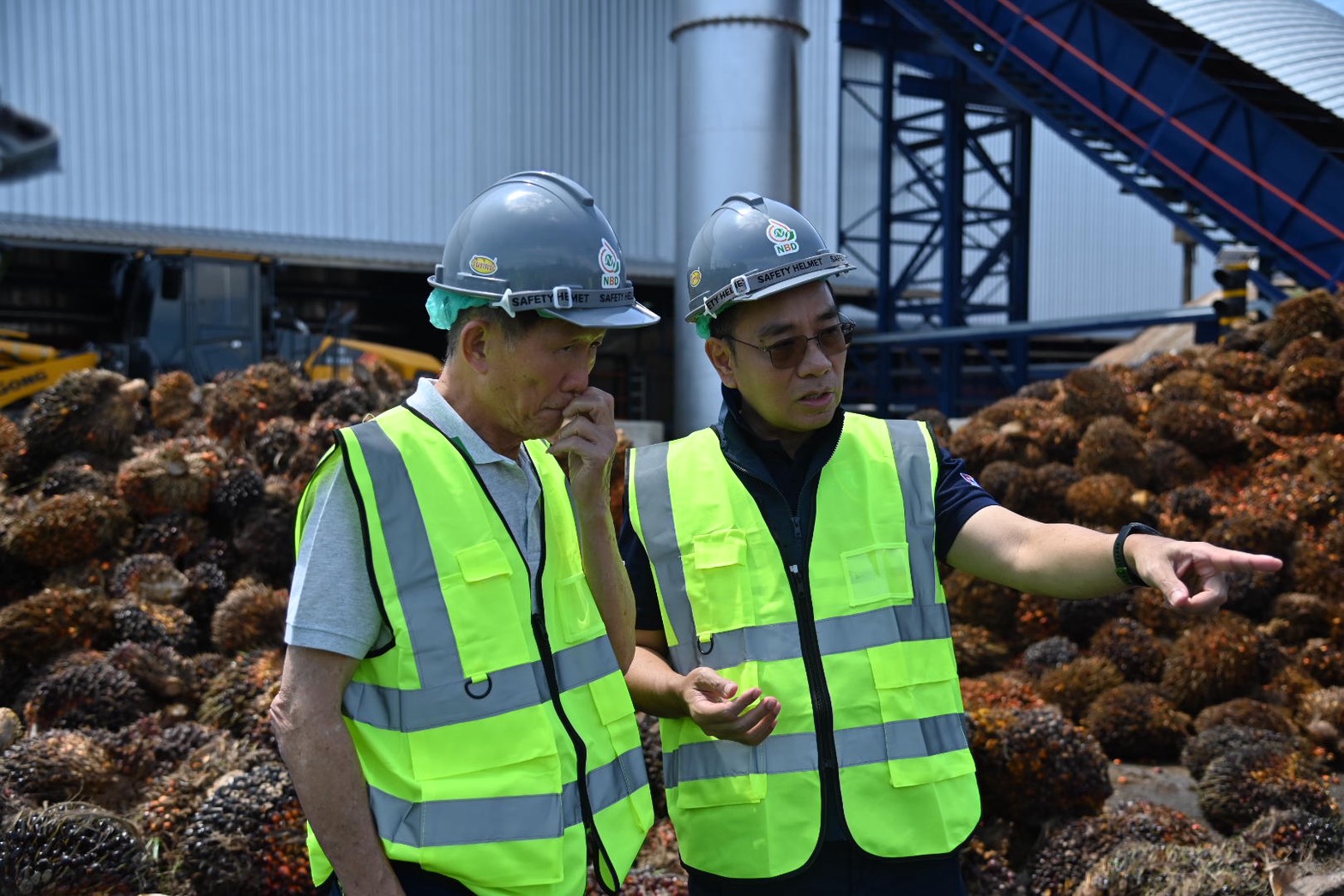 ข่าวเลขที่ 77/2569 DIT ลงพื้นที่สุราษฎร์ฯ ติดตามสถานการณ์ปาล์มน้ำมัน หารือสภาเกษตรกรฯ วางแผนบริหารรับซื้อช่วงผลผลิตกระจุกตัว (16 กุมภาพันธ์ 2569)