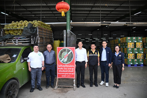 พาณิชย์ลงพื้นที่ติดตามผลไม้จังหวัดชุมพร