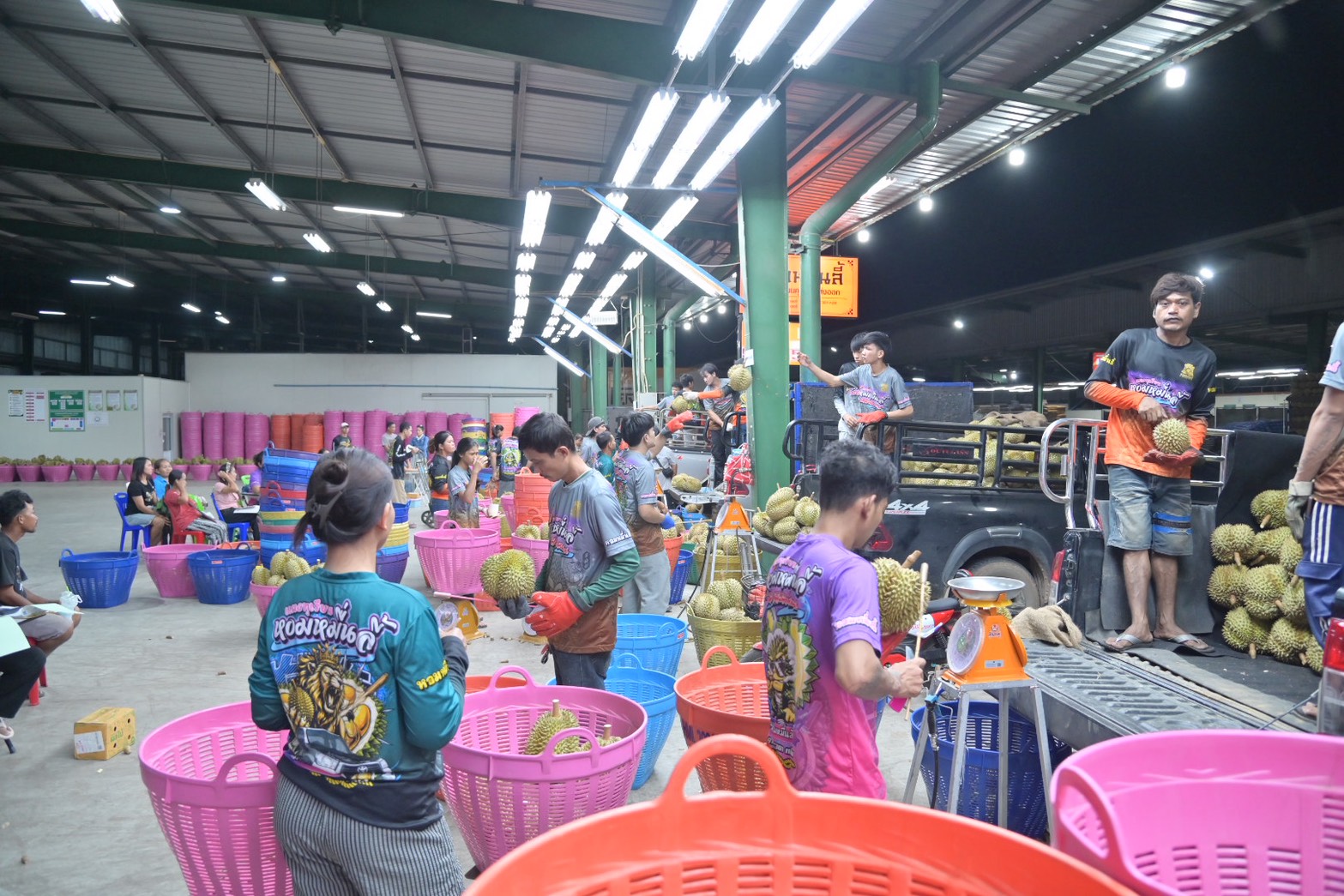 ข่าวเลขที่ 187/2569 กรมการค้าภายใน รับลูก “ศุภจี” เร่งกระจายทุเรียนใต้เป้า 300,000 ตัน ใช้กลไกตลาดกลาง อำนวยความสะดวกรถขนส่ง หนุนแปรรูป รักษาคุณภาพทุเรียนไทย (22 กรกฎาคม 2569)