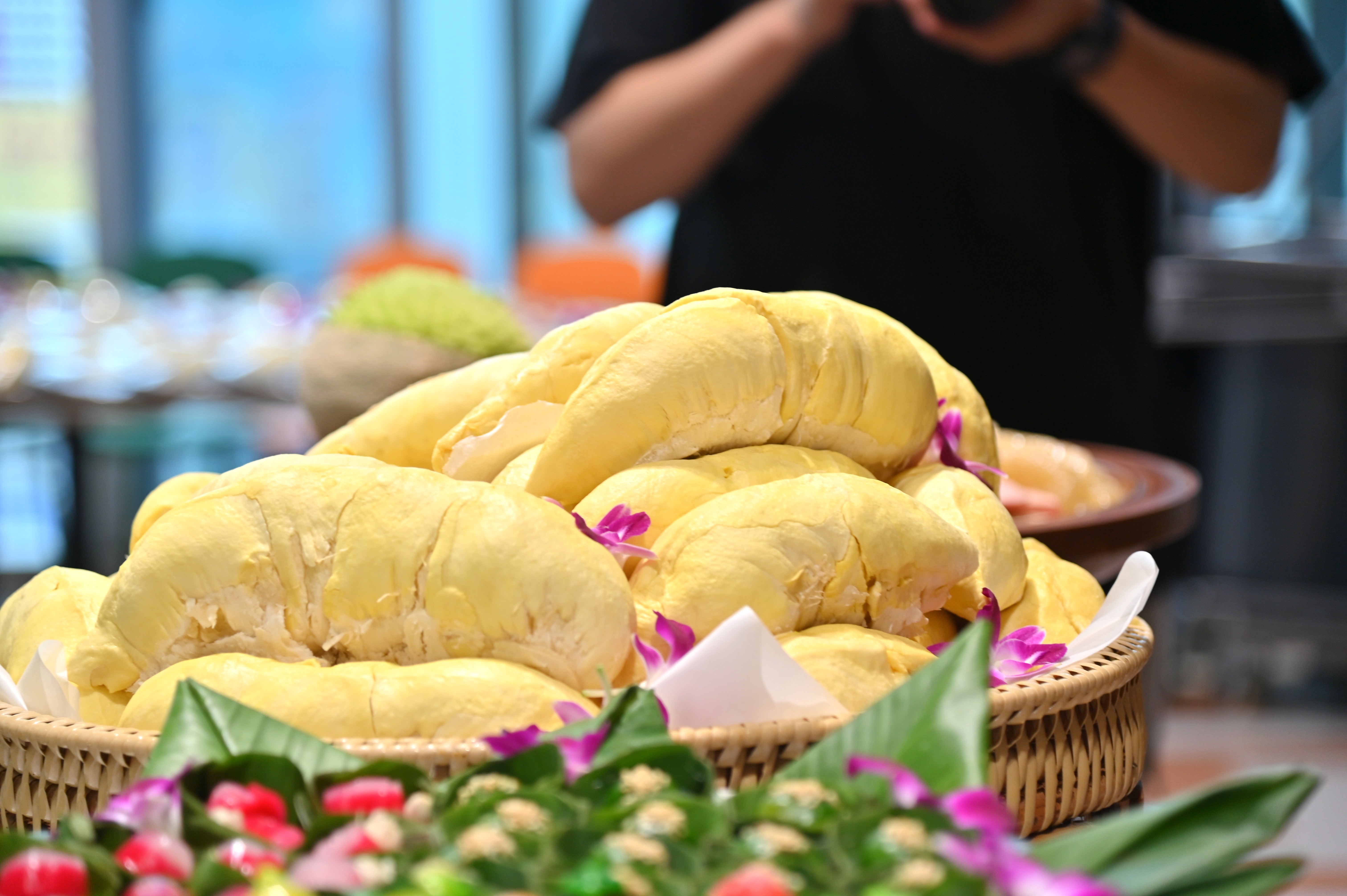 ข่าวเลขที่ 140/2569 “พาณิชย์” ผนึก “บิ๊กซี” จัดเทศกาลผลไม้ไทยปี 69 ดันรายได้เกษตรกร ชูไฮไลต์บุฟเฟต์ทุเรียนอิ่มไม่อั้น 22 สาขาทั่วประเทศ (16 พฤษภาคม 2569)