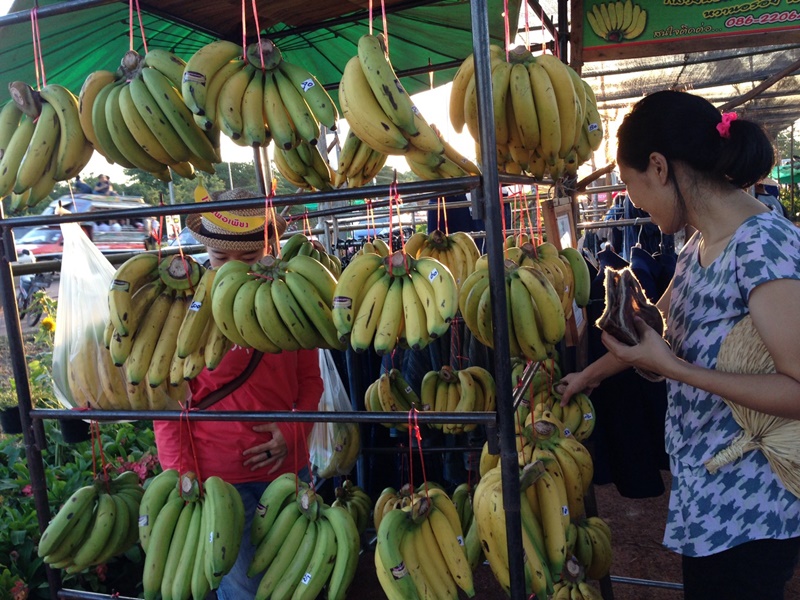 11394_สินค้าในตลาด 3.jpg