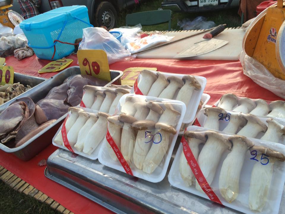 33644_แผงค้า เห็ด.jpg