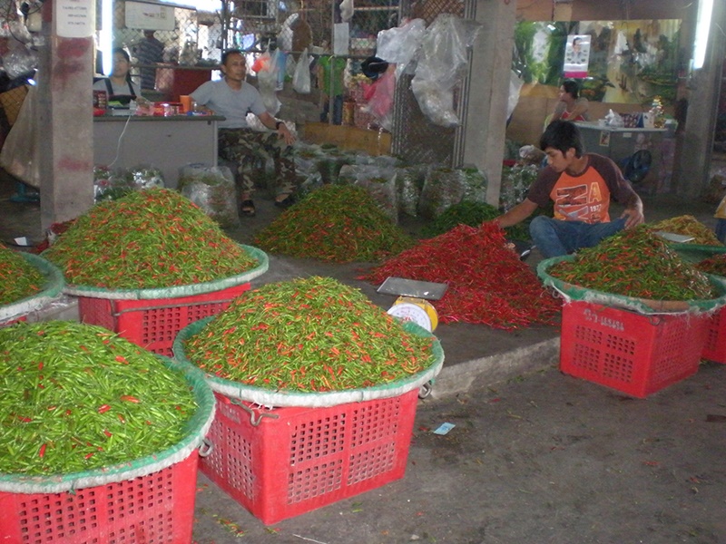 22101_พริก 2.JPG