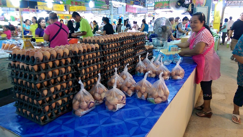 44987_แผงค้า ไข่.jpg