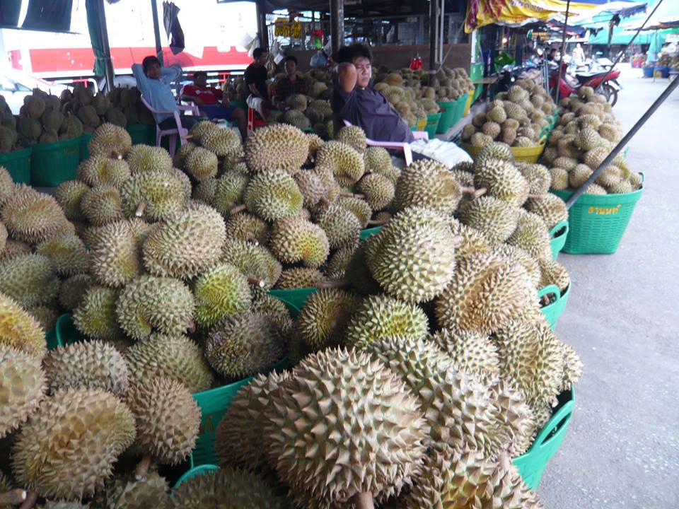 45040_ขายส่งผลไม้.jpg