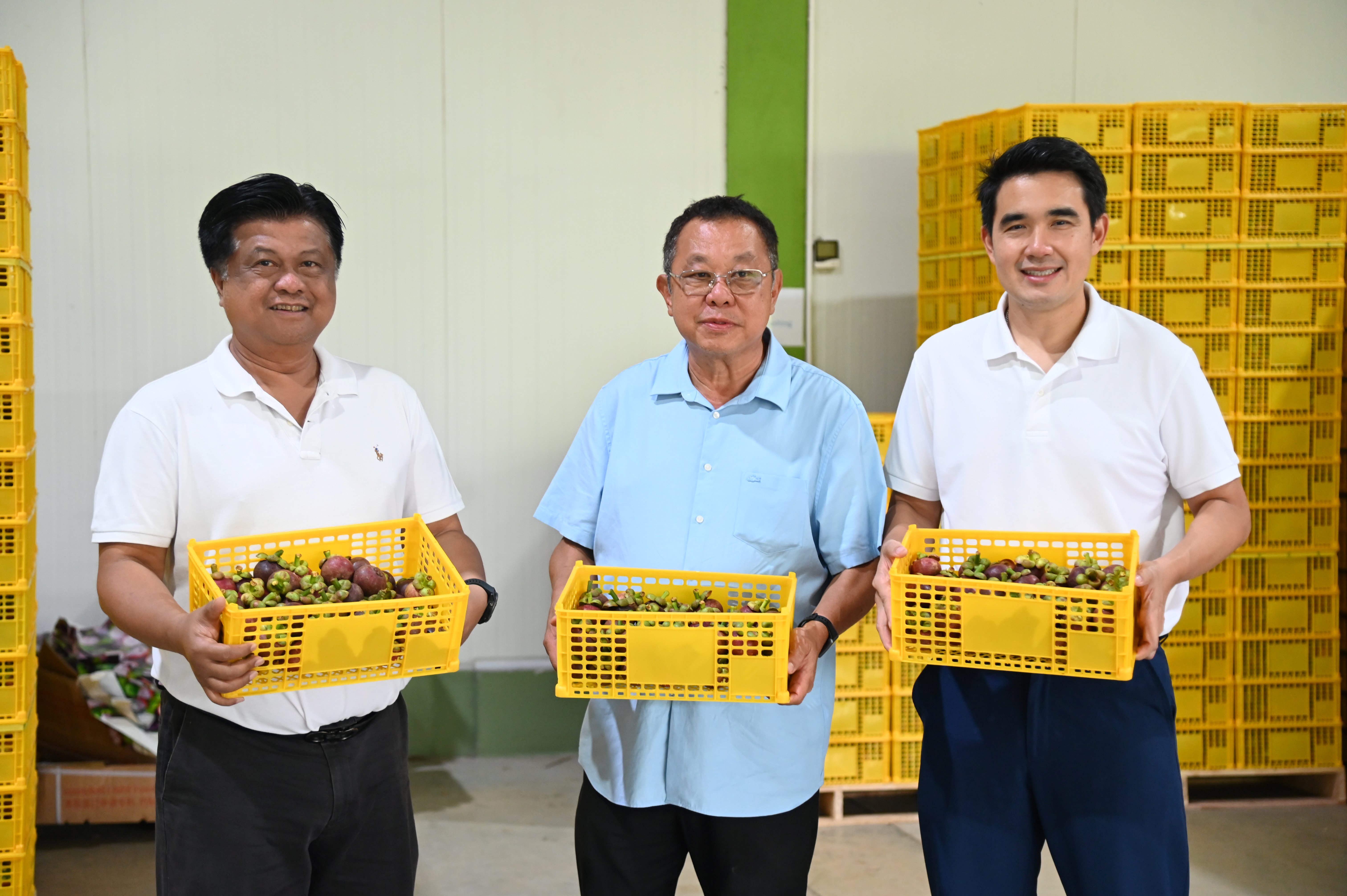 “พาณิชย์” ลงจันทบุรี จับมือ แมคโคร โลตัส และโลตัส-โกเฟรช   เร่งดันมังคุดปลายฤดูกาล กระจายสู่ทุกสาขาทั่วประเทศ