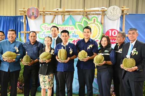 พาณิชย์ลงพื้นที่ติดตามสถานการณ์ผลไม้ภาคใต้ พร้อมร่วมงานวันเปิดฤดูเก็บเกี่ยวผลผลิตทุเรียน จังหวัดชุมพร 