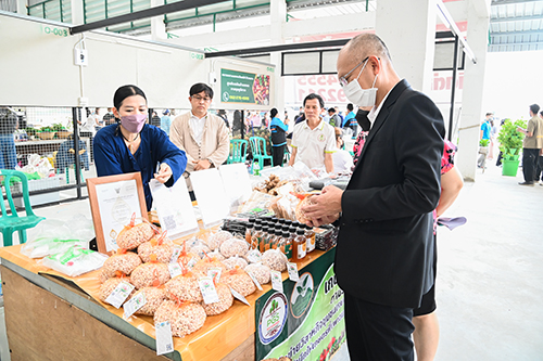 Organic World Thailand