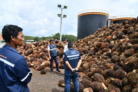 พาณิชย์เฝ้าติดตามพื้นที่ชายแดน  ป้องกันลักลอบนำเข้าน้ำมันปาล์ม