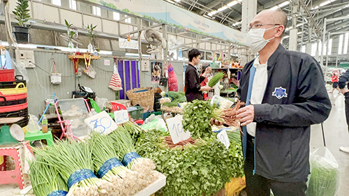 พาณิชย์ตรวจติดตามสถานการณ์ราคาผัก