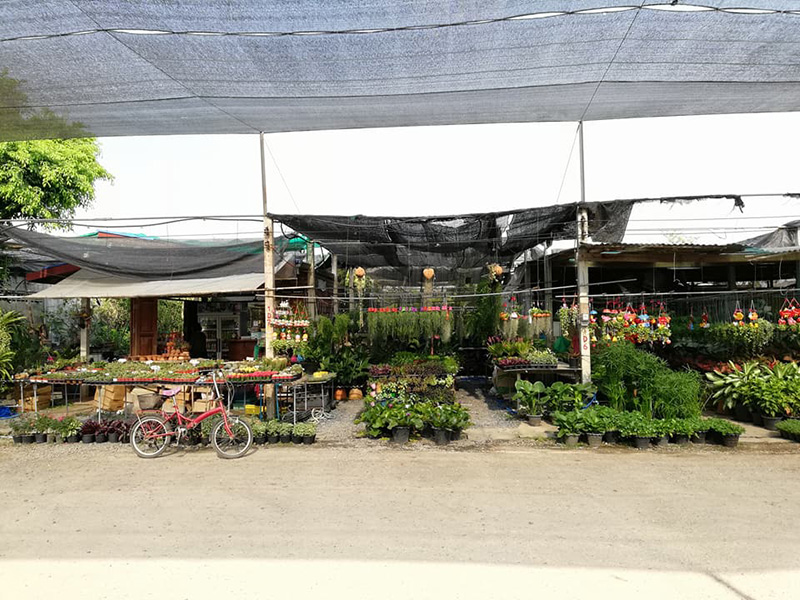 57120_ภาพรวมตลาด 3.jpg
